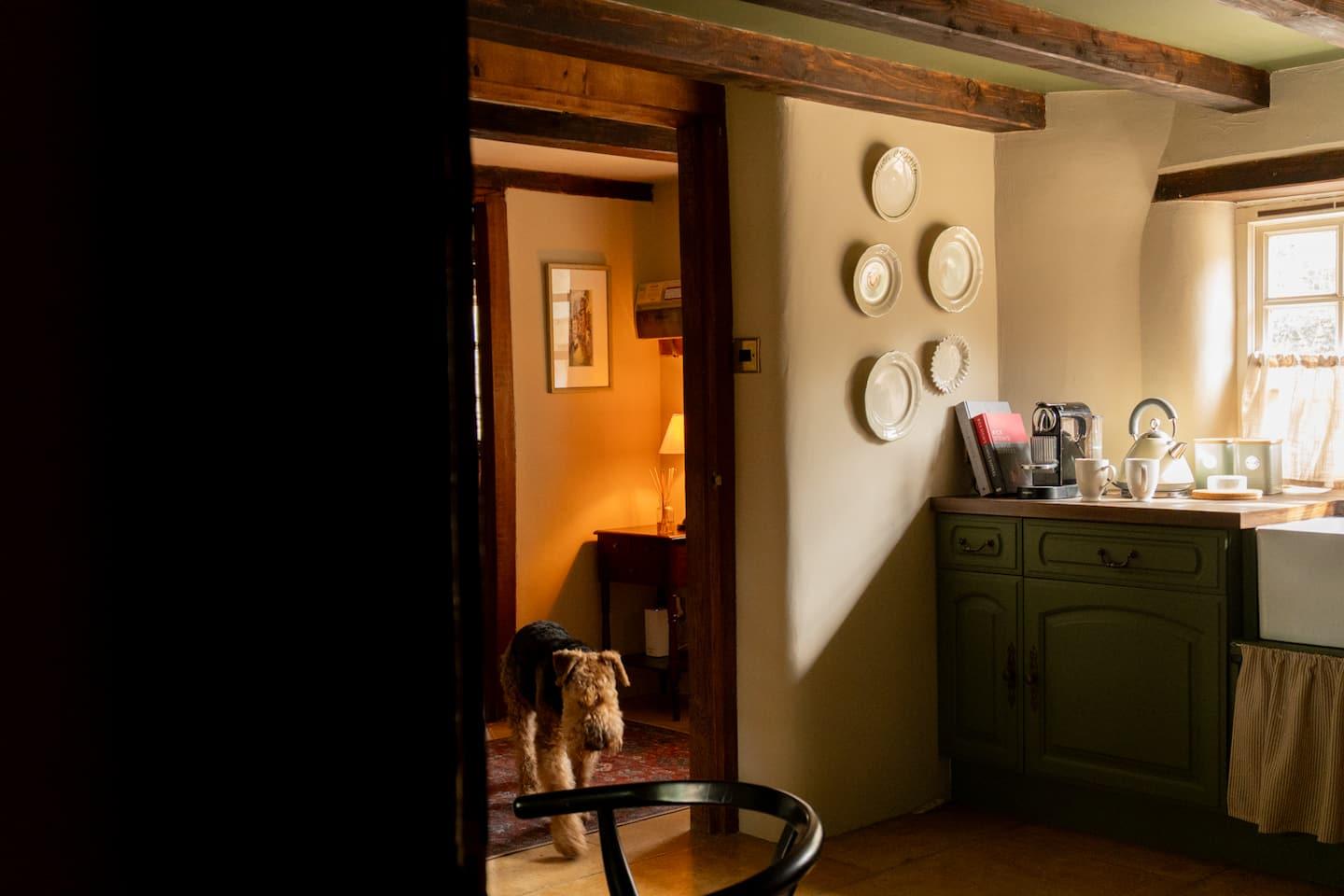 Kitchen through the doorway